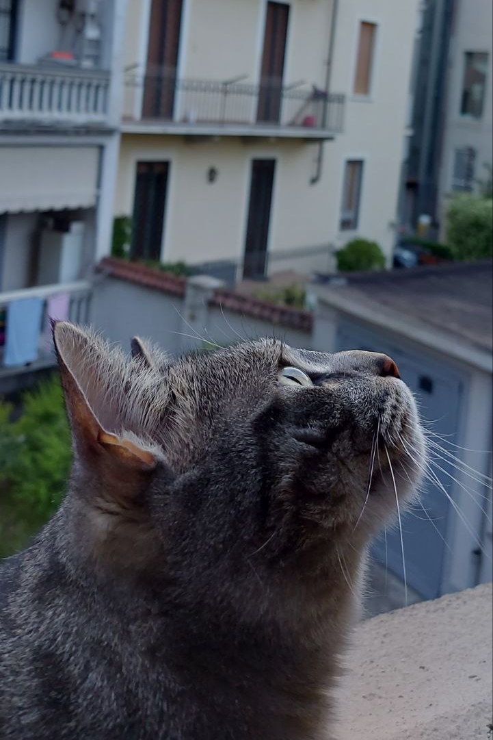 Oliver looking up to the sky from a balcony